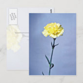 Gele anjerbloemen briefkaart (Voorkant / Achterkant)