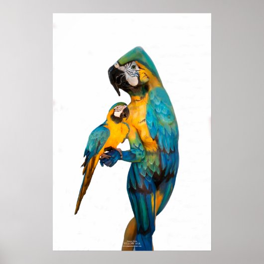 Gele Ara van Johannes Stötter Poster (Voorkant)