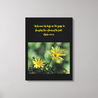 Gele Aster Wilde Bloemen Canvasprint Canvas Afdruk
