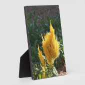 Gele Astilbe bloem Fotoplaat (Zijkant)