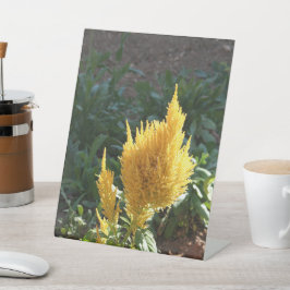 Gele Astilbe bloem Reclamebord Met Voetstuk