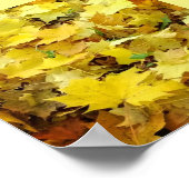 Gele Autumn Leaves Poster (Hoek)