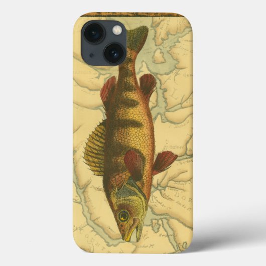 Gele baars op kaart Case-Mate iPhone case (Achterkant)