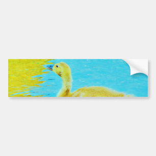 Gele Baby gans met lichtblauw water Bumpersticker