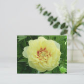 Gele Bartzella Pioenbloem Bloem PC Feestdagenkaart (Staand voorkant)