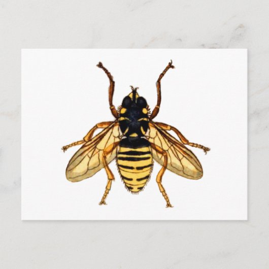 Gele Bee Briefkaart (Voorkant)