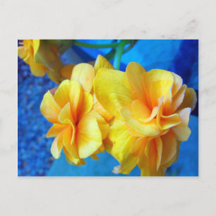Gele Begonias Briefkaart