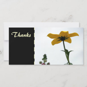 Gele Bidens Bloemen Fotografie Bedankt Foto C