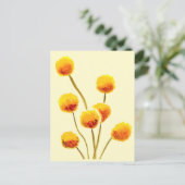 Gele Billy Button (Australische bloem) Briefkaart (Staand voorkant)