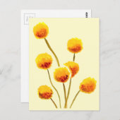 Gele Billy Button (Australische bloem) Briefkaart (Voorkant / Achterkant)