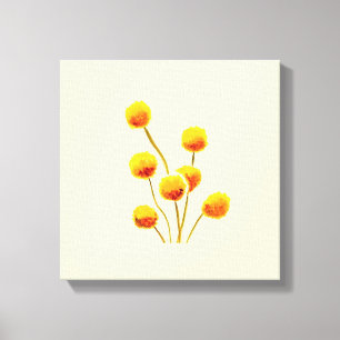 Gele Billy Button (Australische bloem) Canvas Afdruk