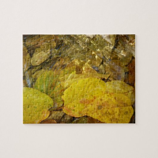 Gele Birch Leaves in Stream Legpuzzel (Horizontaal)