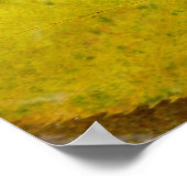 Gele Birch Leaves in Stream Poster (Hoek)