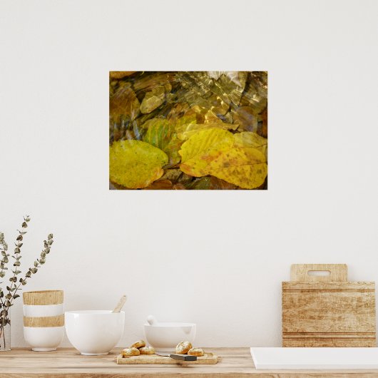 Gele Birch Leaves in Stream Poster (Keuken)