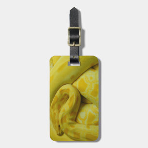 Gele Birmese Python Bagagelabel