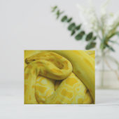 Gele Birmese Python Briefkaart (Staand voorkant)