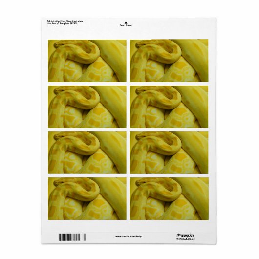 Gele Birmese Python Etiket (Full Sheet)