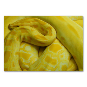 Gele Birmese Python Kaart