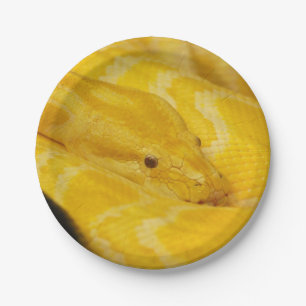 Gele Birmese Python Papieren Bordje
