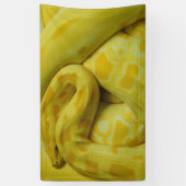 Gele Birmese Python Spandoek (Verticaal)