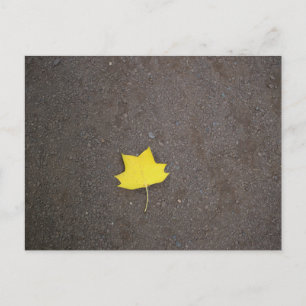 Gele Blad Foto Ansichtkaart Briefkaart