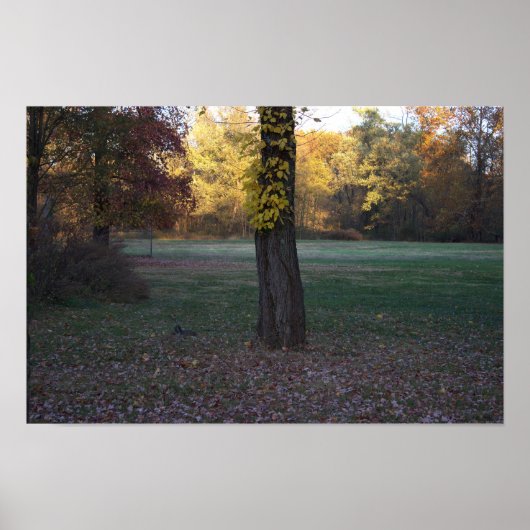 Gele bladeren op het Poster (Voorkant)