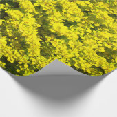 Gele bloeiende bieren Golden Sjabloon Woadwaxen Cadeaupapier (Hoek)