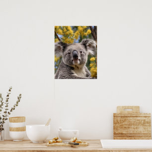 Gele bloeiende waterkokerboom met een koala, poster