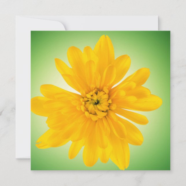 Gele bloem (Voorkant)