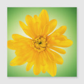 Gele bloem (Voorkant)