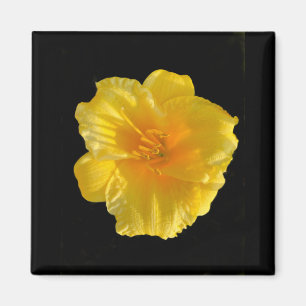 Gele bloem 2 inch vierkante magneet