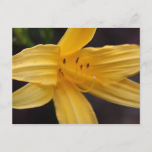 gele bloem briefkaart