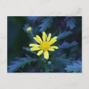 gele bloem briefkaart