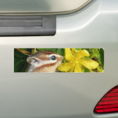 Gele bloem en Chipmunk (4) Bumpersticker (Op auto)