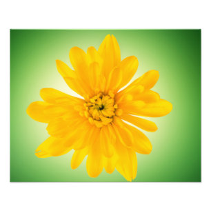 Gele bloem foto afdruk