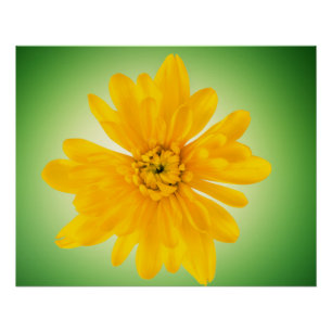 Gele bloem perfect poster