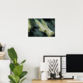 Gele Bloemen - Ochtenddauw Poster (Thuiskantoor)