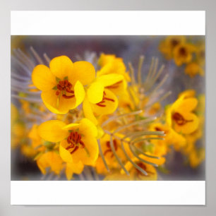 Gele bloemen poster
