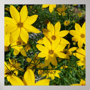 gele bloemen poster
