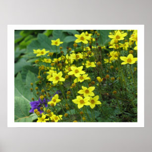 gele bloemen poster