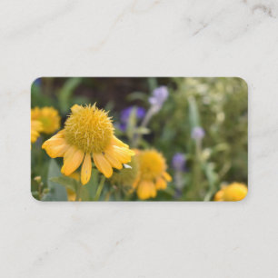 Gele Bloemen Tuin Natuur Floral Foto Visitekaartje
