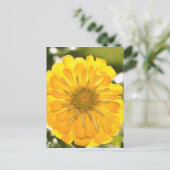 Gele bloemengele bloem gele madeliefje briefkaart (Staand voorkant)