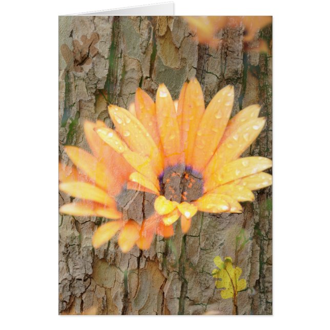 Gele bloemschors (Voorkant)