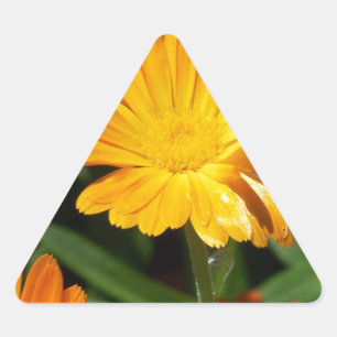 Gele bloesbloemen Kunst Vredesliefhebbers Driehoek Sticker