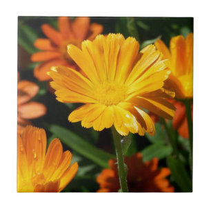 Gele bloesbloemen Kunst Vredesliefhebbers Tegeltje