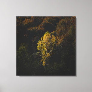 Gele boom die opvalt van de menigte canvas afdruk
