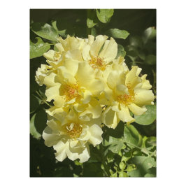 Gele botanische bloemen perfect poster