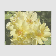 Gele botanische bloemen