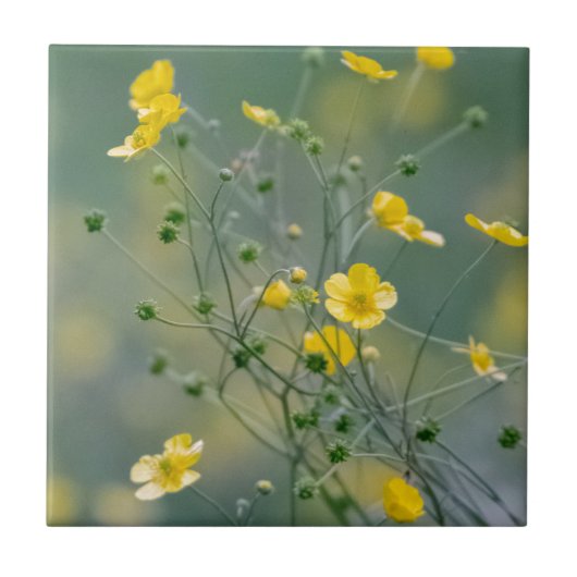 Gele boter tegeltje (Voorkant)