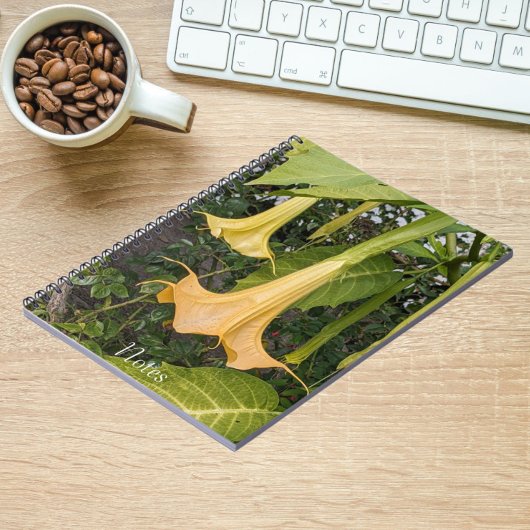 Gele Brugmansia Bloom Bloemen Notitieboek